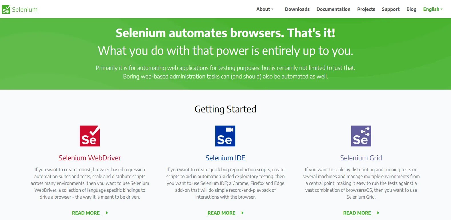 What is Selenium?